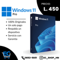 Windows 11 Pro